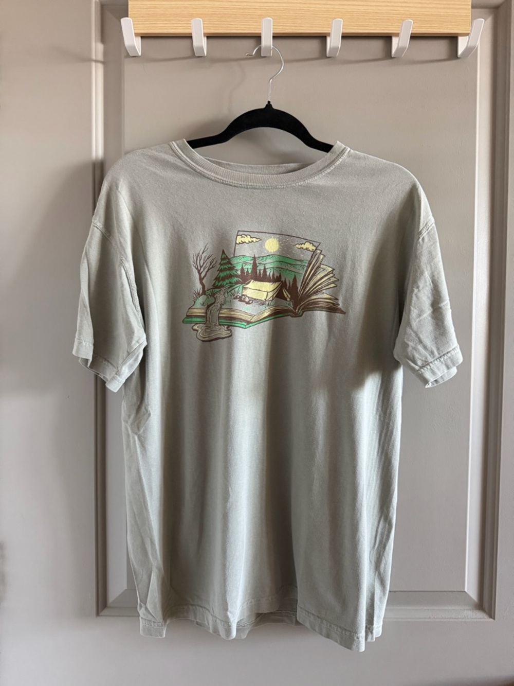 Great Smoky Mountains Campfire Graphic Tee in Sage Green